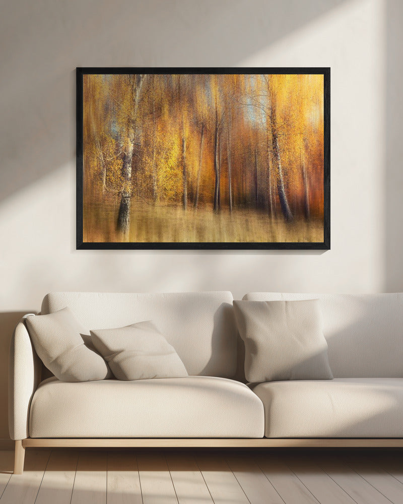 Autumn Birches | Canvas