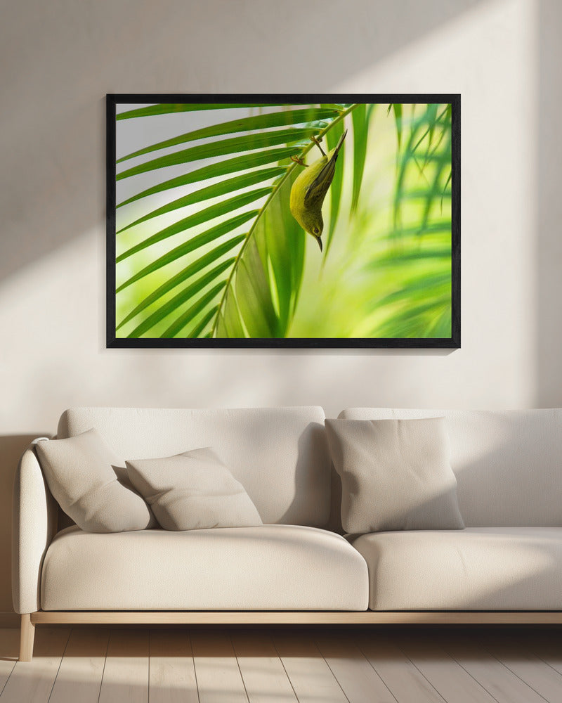 50 shades of green | Canvas