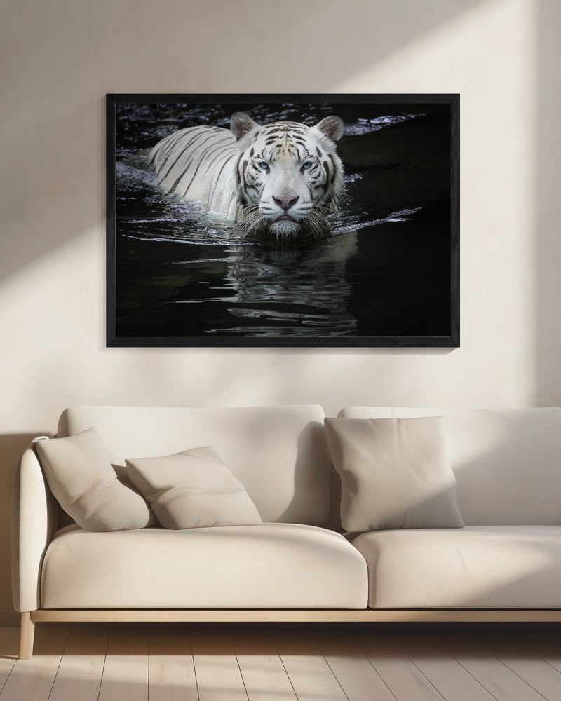 Looking at Me Looking at You | Canvas