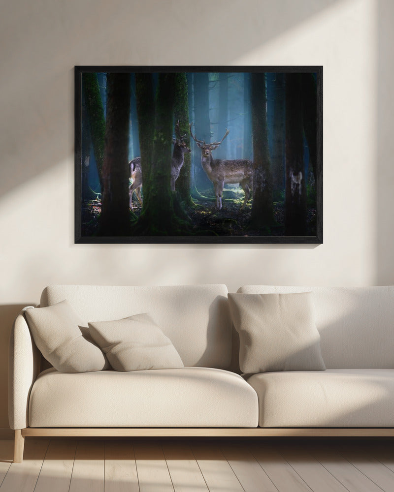 Deers | Canvas
