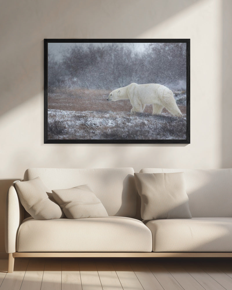 Let it Snow! | Canvas