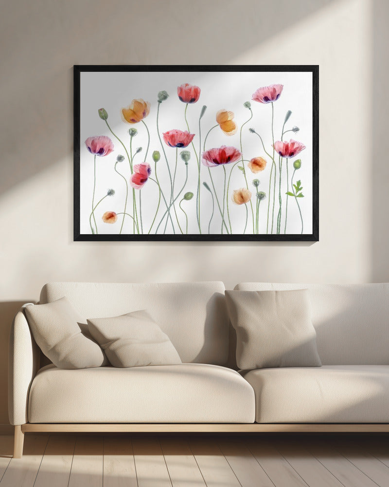 Papaver party | Canvas
