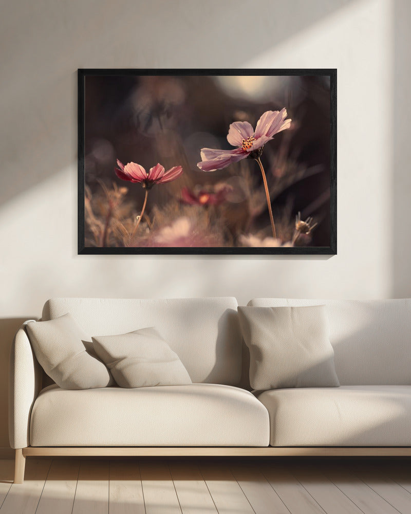 Flowers of innocence | Canvas