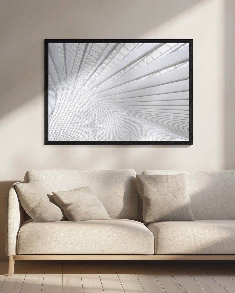 Curvature | Canvas