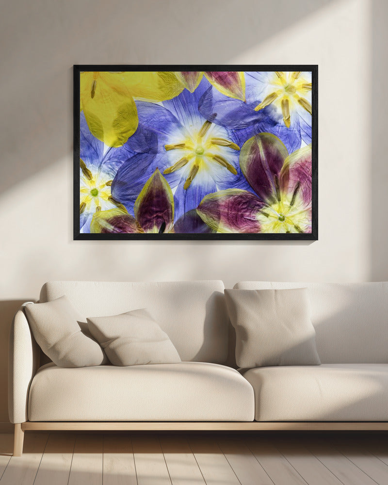 Tulips | Canvas