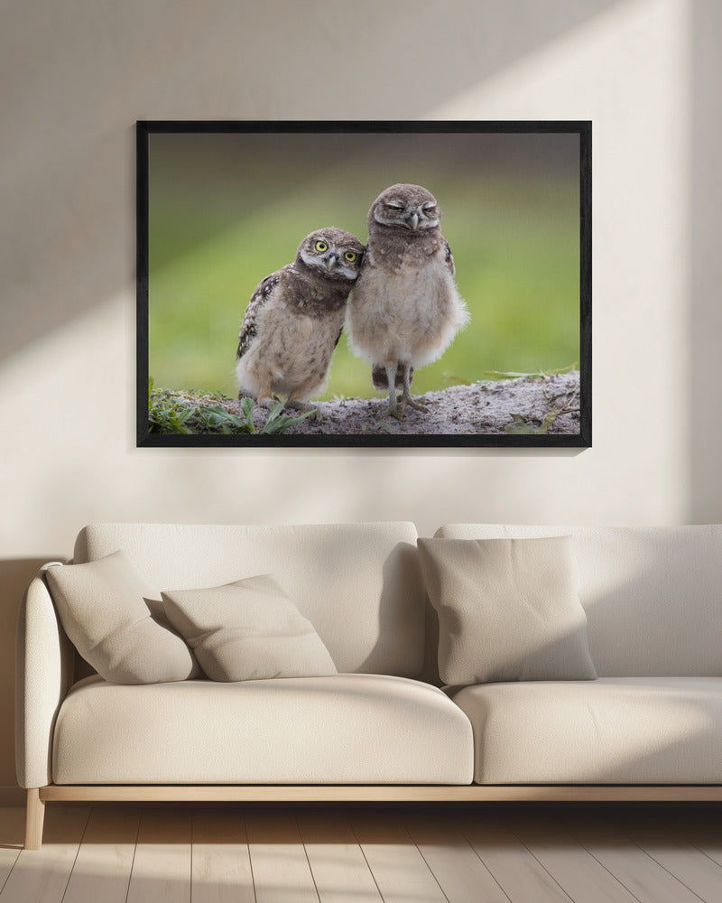 Friends | Canvas