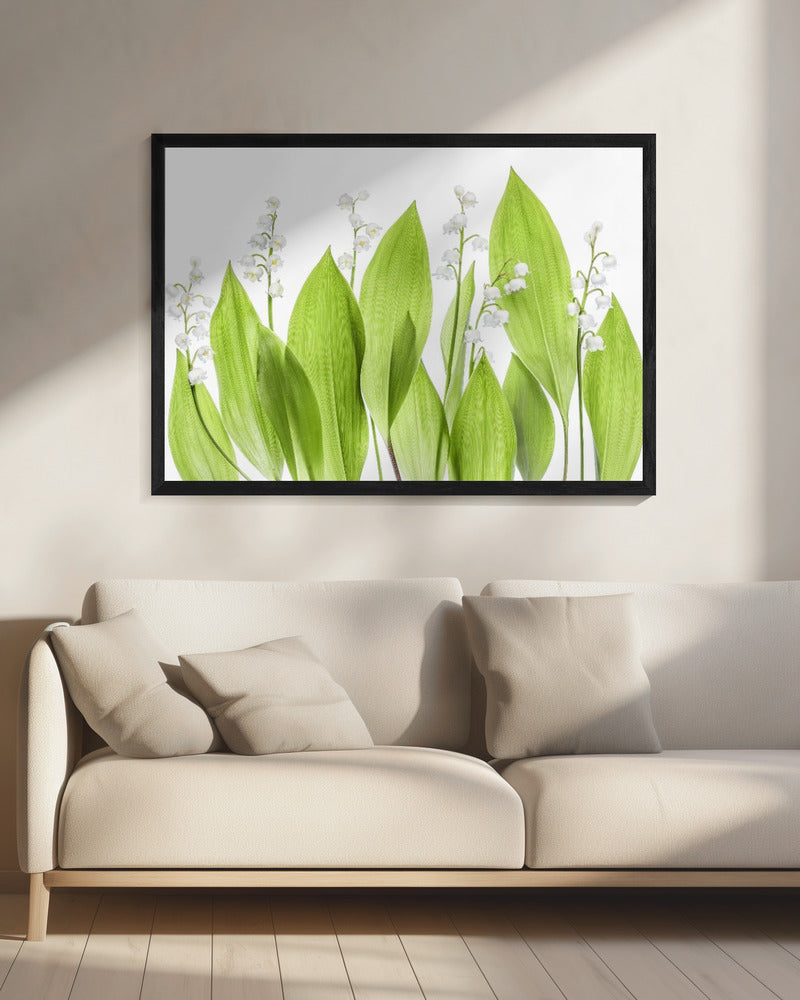 Lily of the valley | Canvas