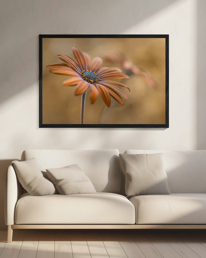 Summer glow | Canvas