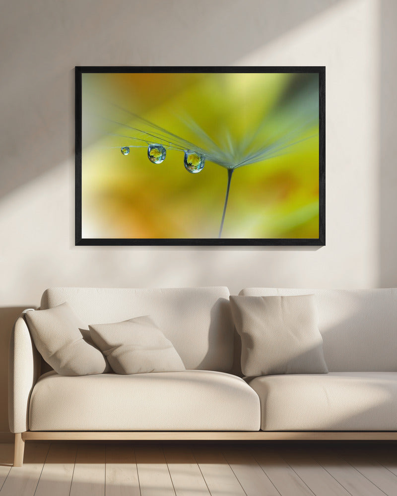 SunBeam...III | Canvas