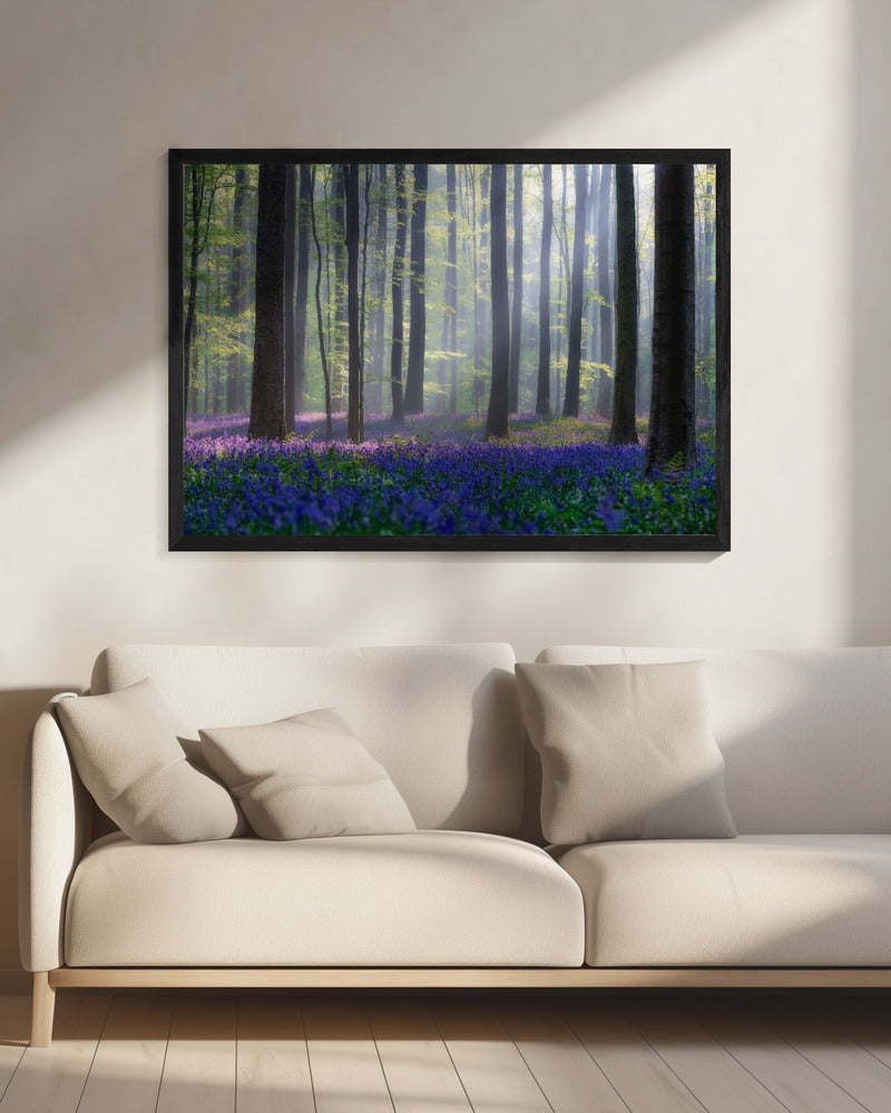 Bluebells | Canvas