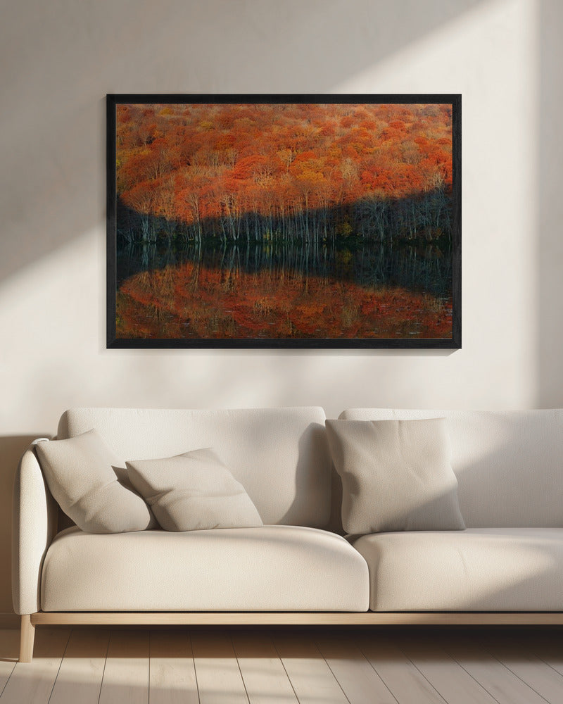 shadow fade away | Canvas