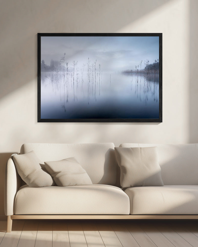 Untitled | Canvas