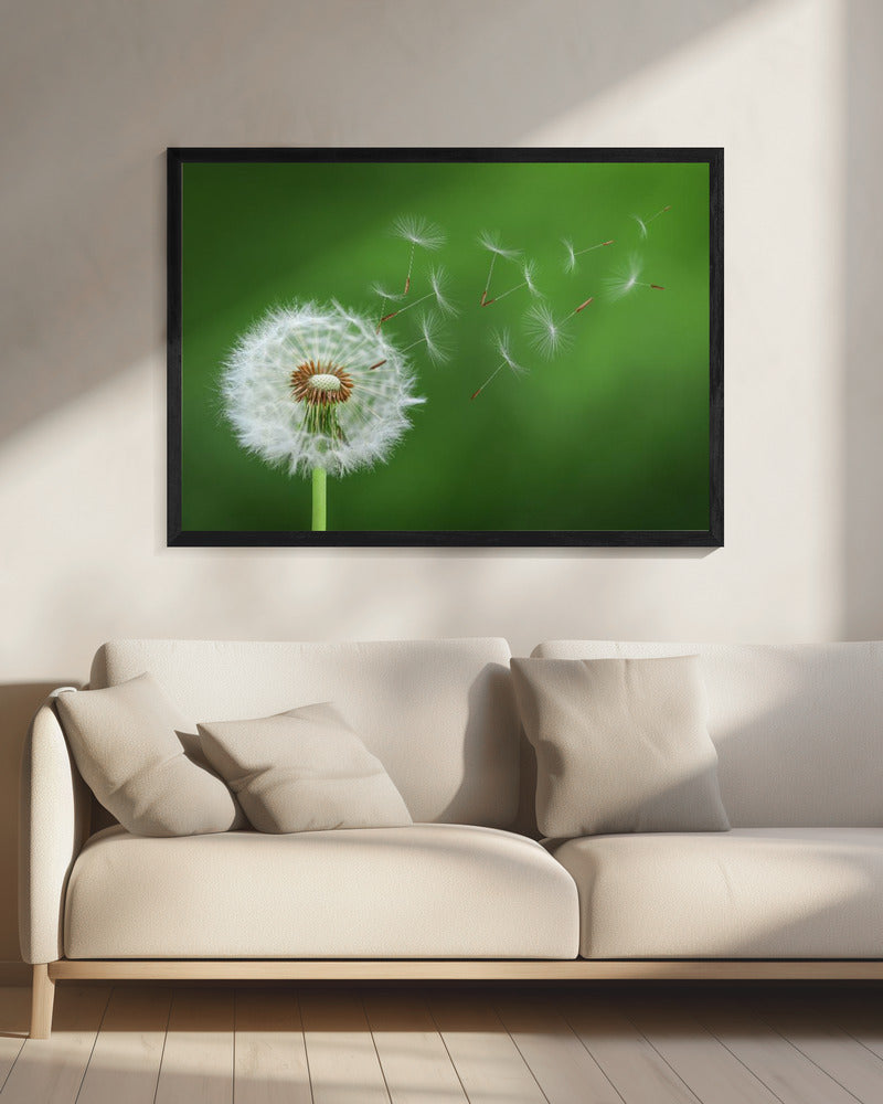 Dandelion Blowing | Canvas