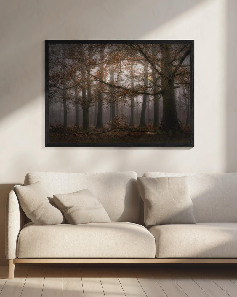 Foggy memory  of the past | Canvas