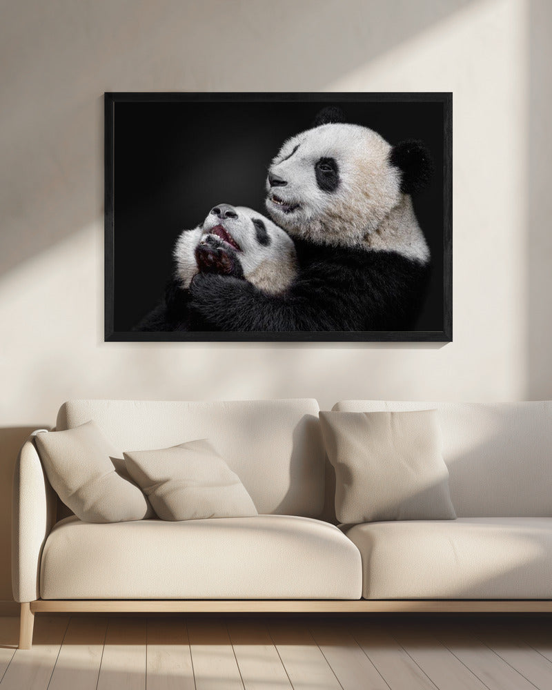 Pandas | Canvas