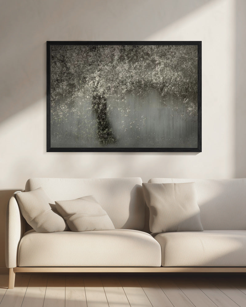 White blossom | Canvas