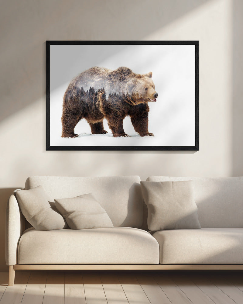 Bear | Canvas