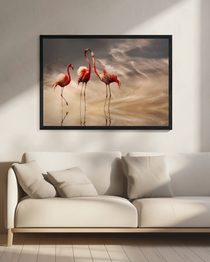 fighting ... | Canvas