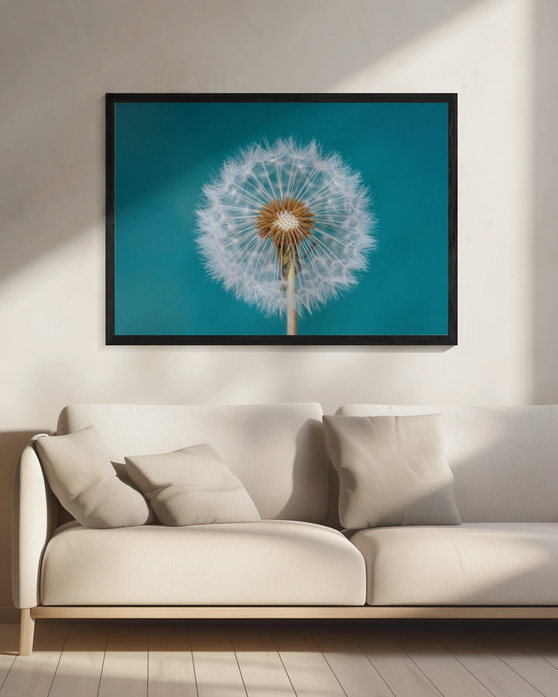 Dandelion | Canvas