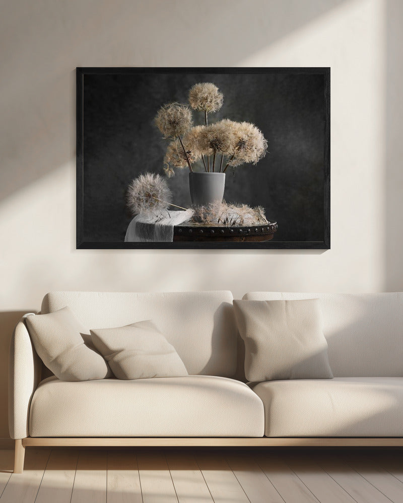 Dandelion Seed Pod | Canvas