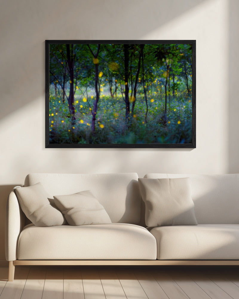 Magic fireflies | Canvas