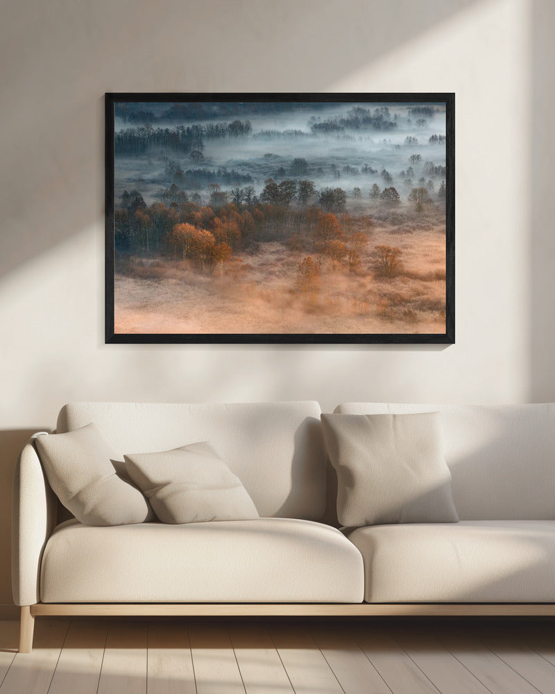 Autumnal misty dawn | Canvas