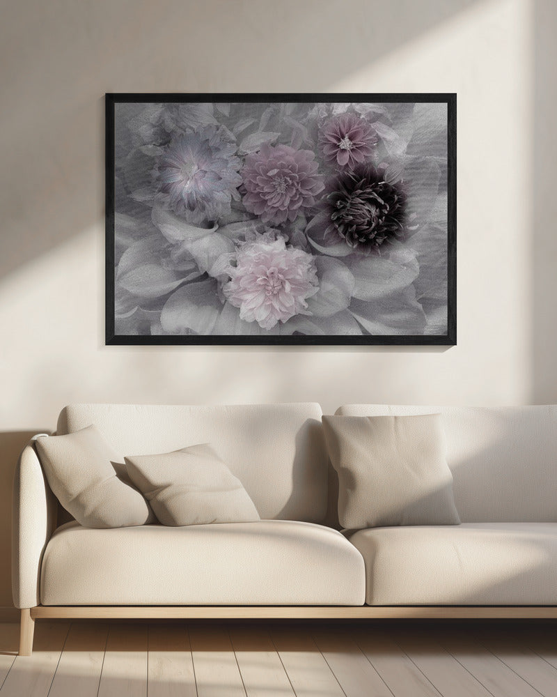 Dahlia dream | Canvas