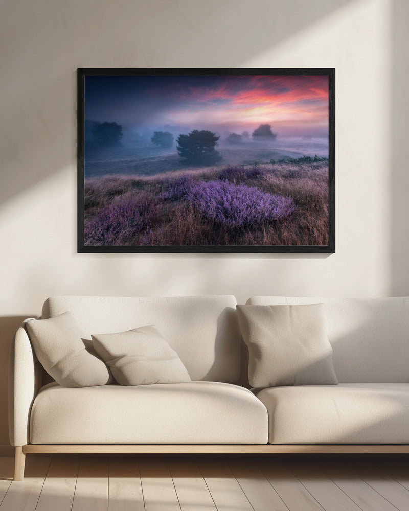 &quot;the colors of heather&quot; | Canvas