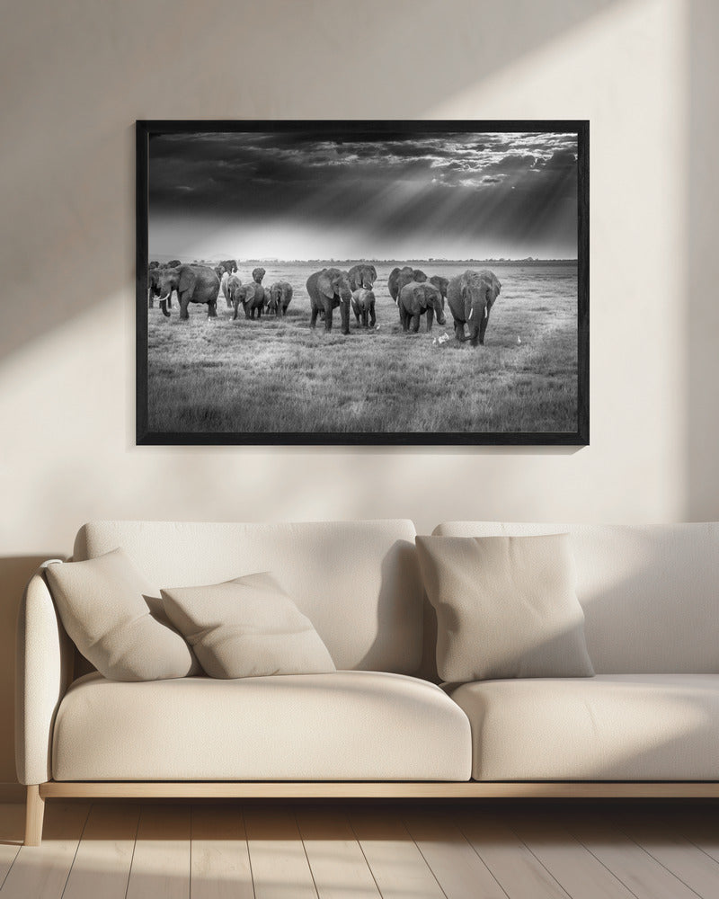 Breakfast with pachyderms | Canvas