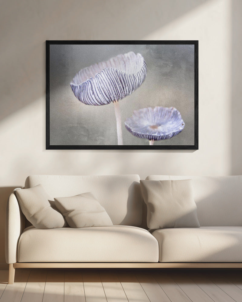mushroom | Canvas