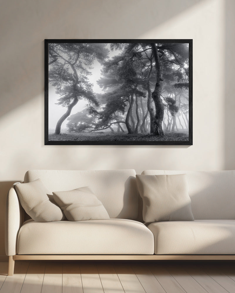 Endure for a hundred years | Canvas