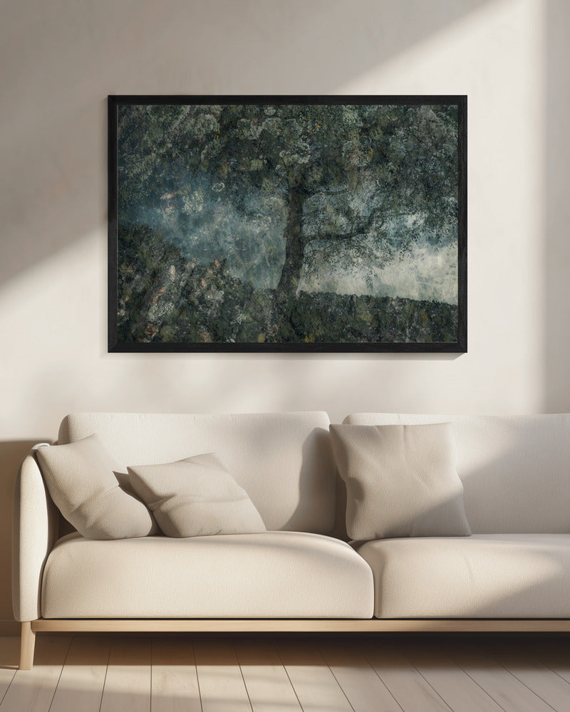 Rocks and a tree | Canvas