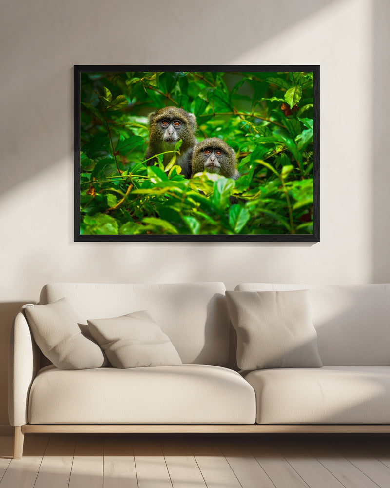 Blue Monkey | Canvas