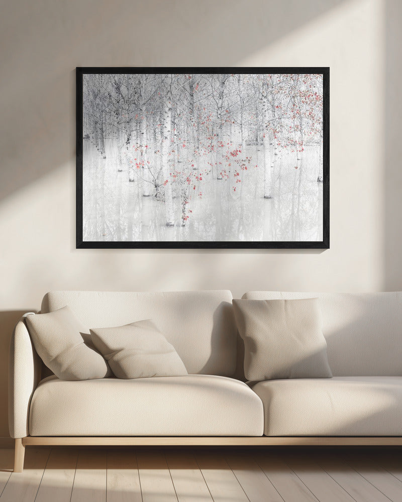 Red &amp; white | Canvas