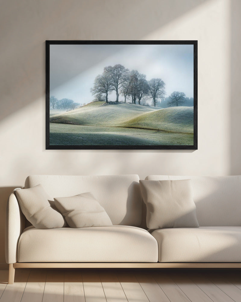 It is not in tuscany | Canvas