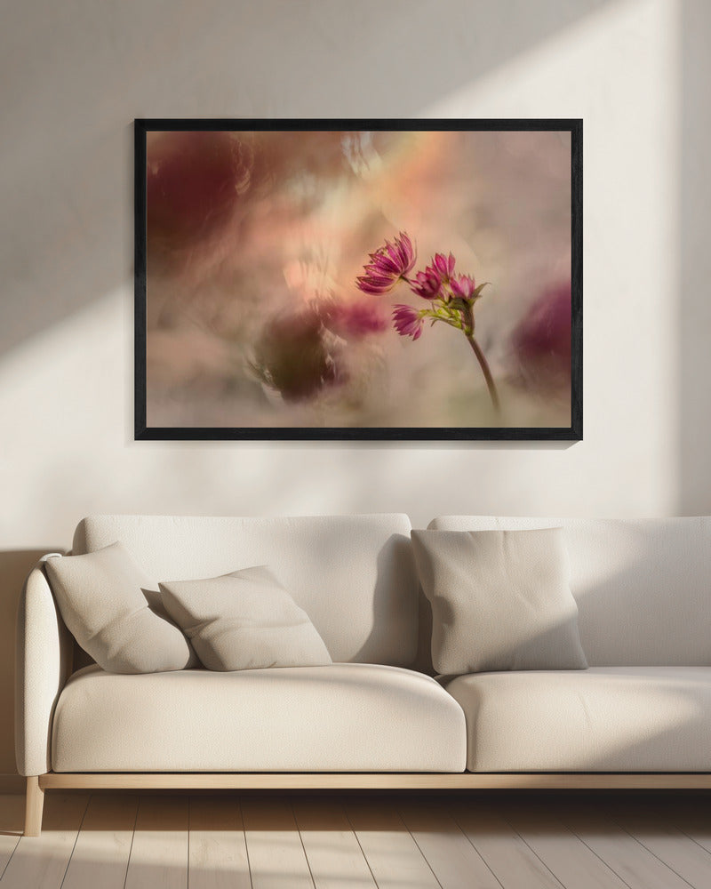 Soft and light | Canvas