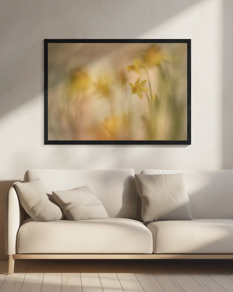 Daffodils | Canvas