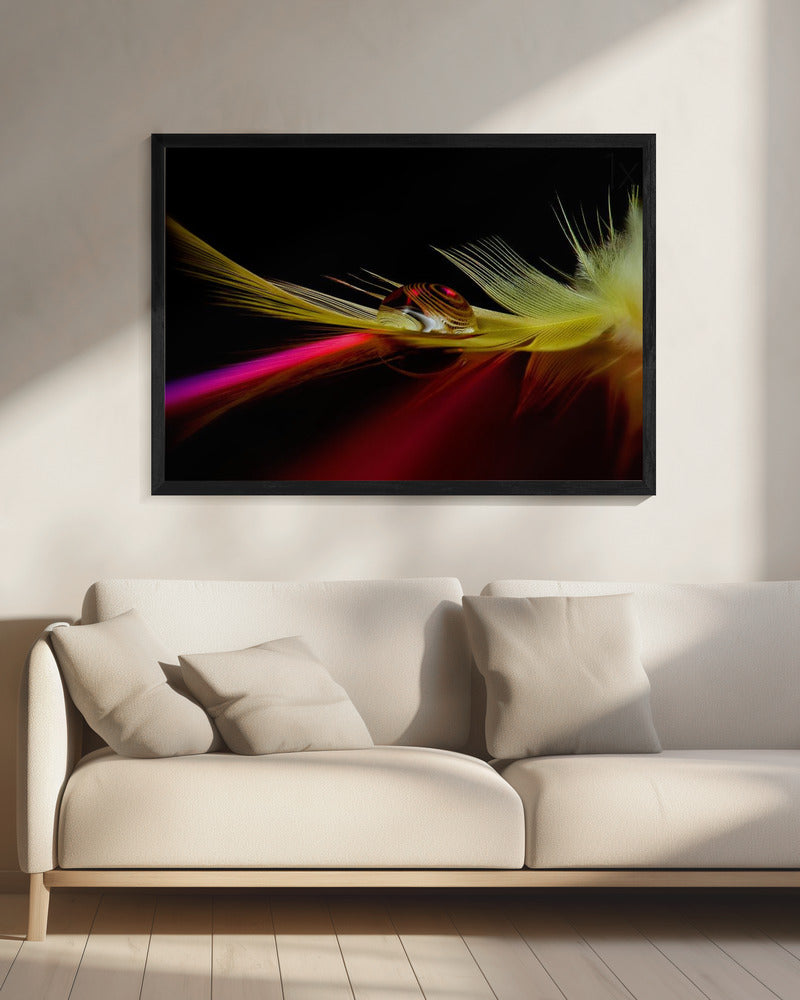 Colors in the drop | Canvas