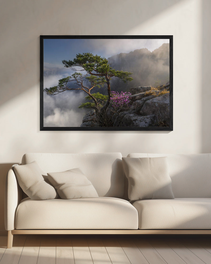 Dream dancer | Canvas