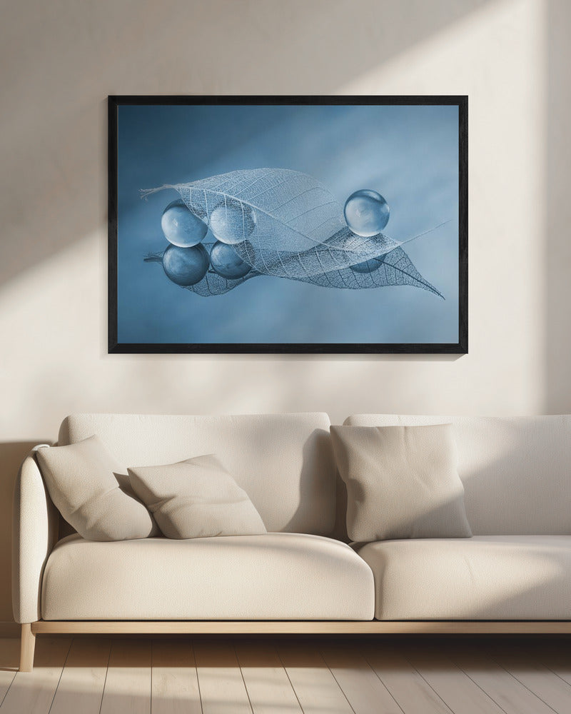 Dry leaf and Bubbles | Canvas