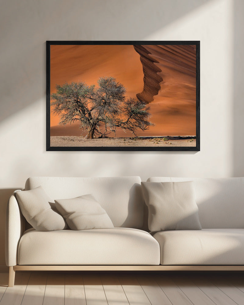 Acacia in the desert | Canvas