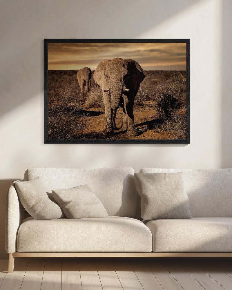 Big | Canvas