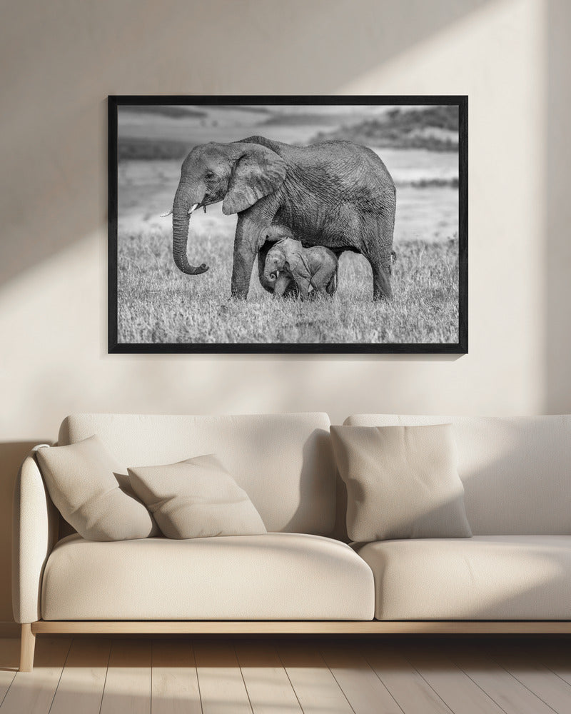 Staying close and protected | Canvas