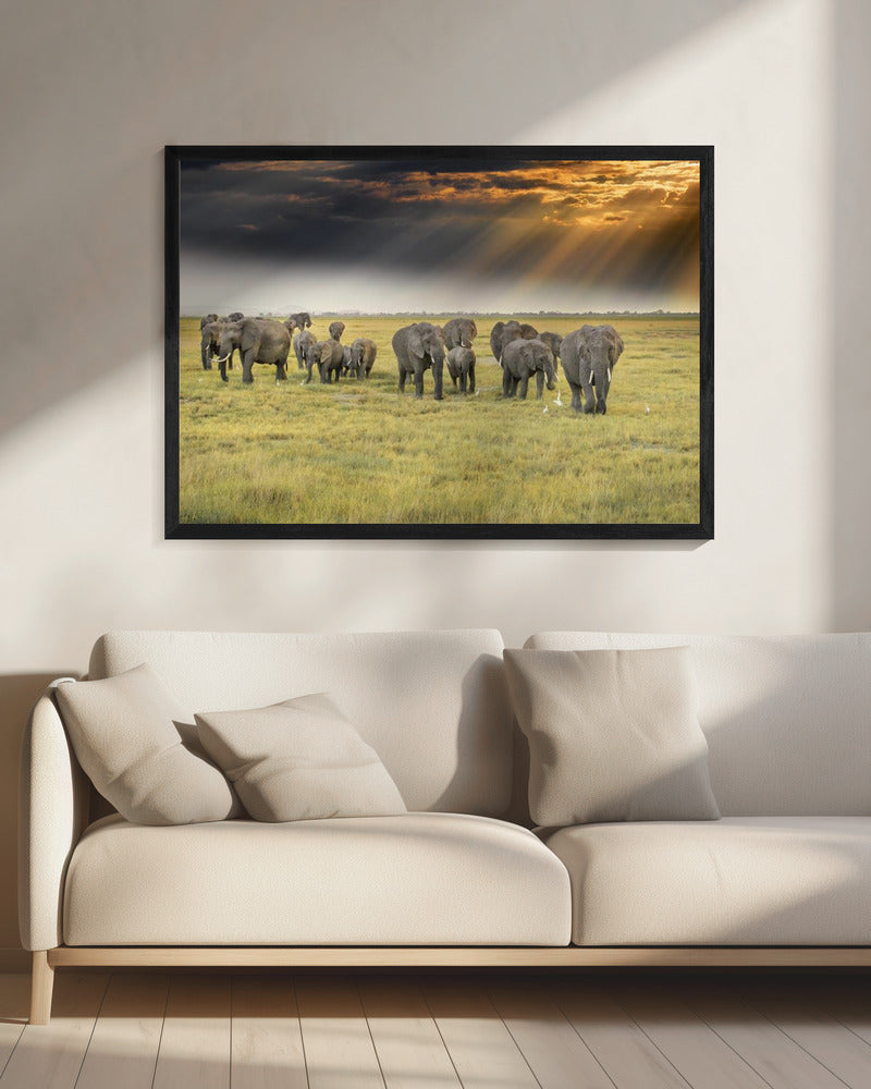 For the love of elephants | Canvas