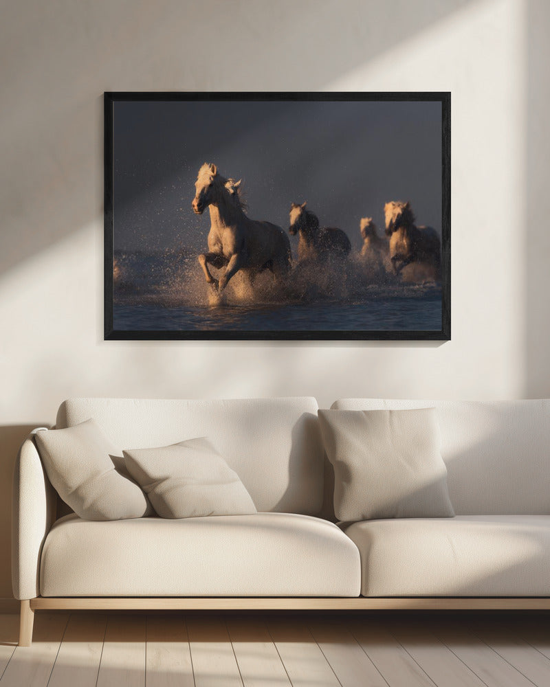 horses in sunset light | Canvas