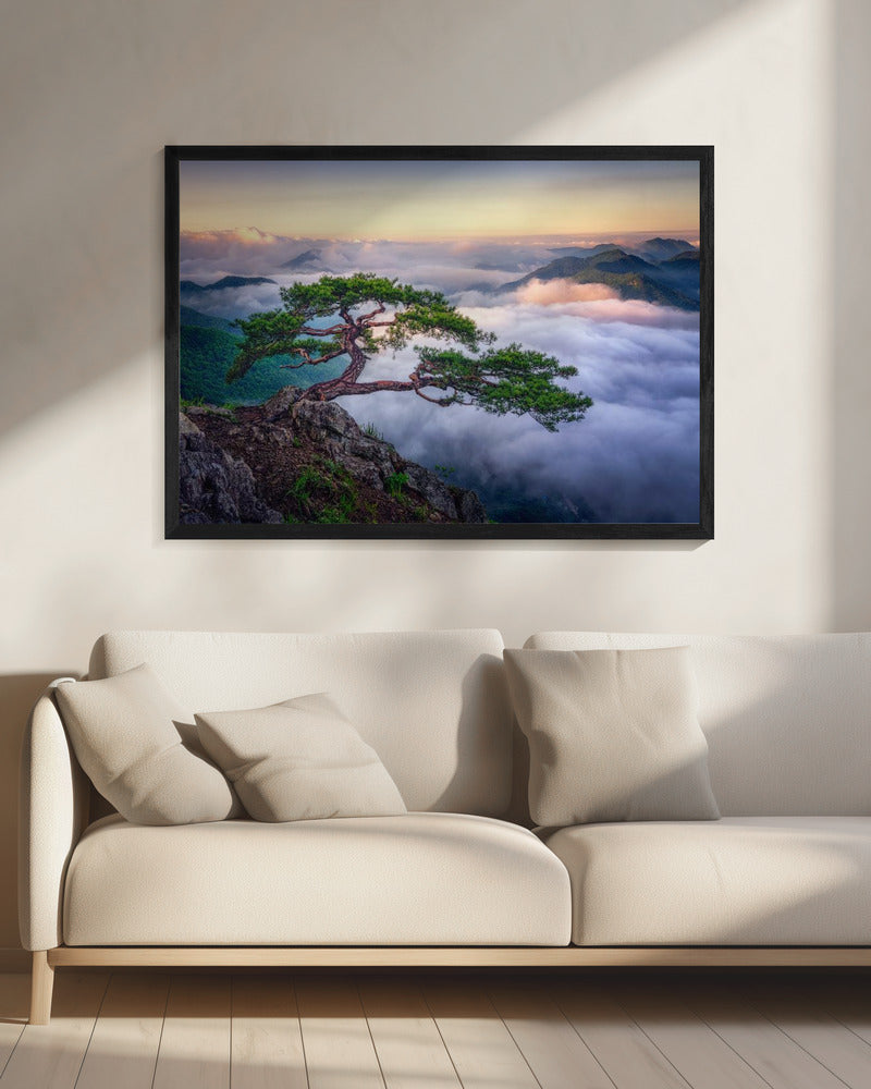 On the rock | Canvas