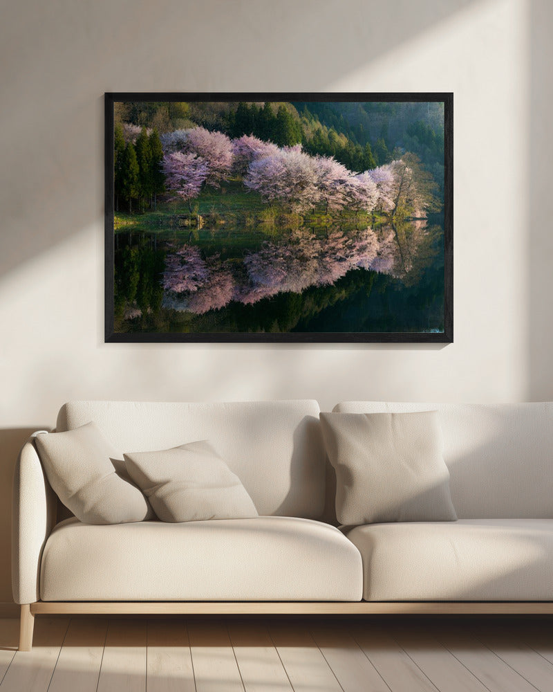 Sakura | Canvas