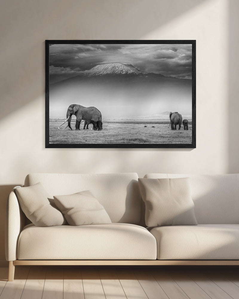 The land of giants | Canvas