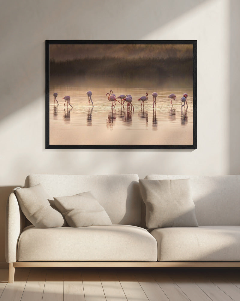Photographic ode to Monet | Canvas