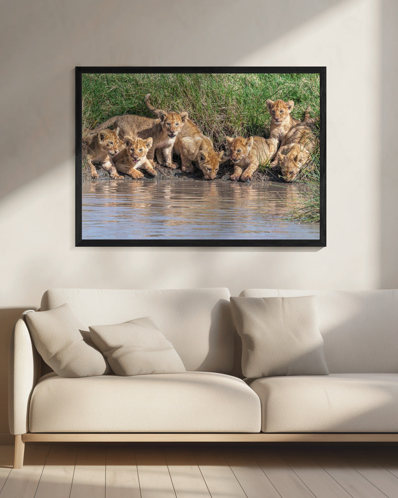 Putting the band back together.... | Canvas